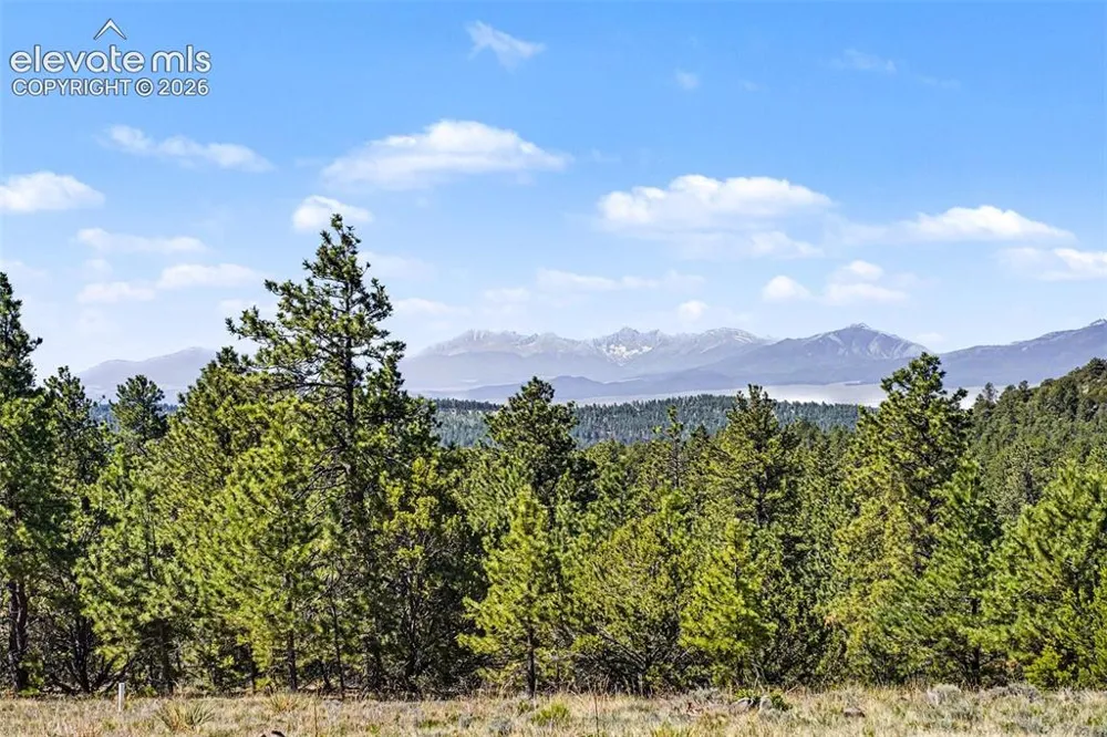 610 Matterhorn Circle Westcliffe, CO 81252