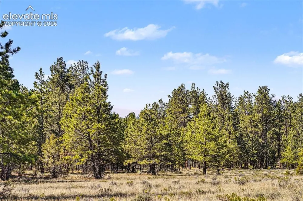 610 Matterhorn Circle Westcliffe, CO 81252