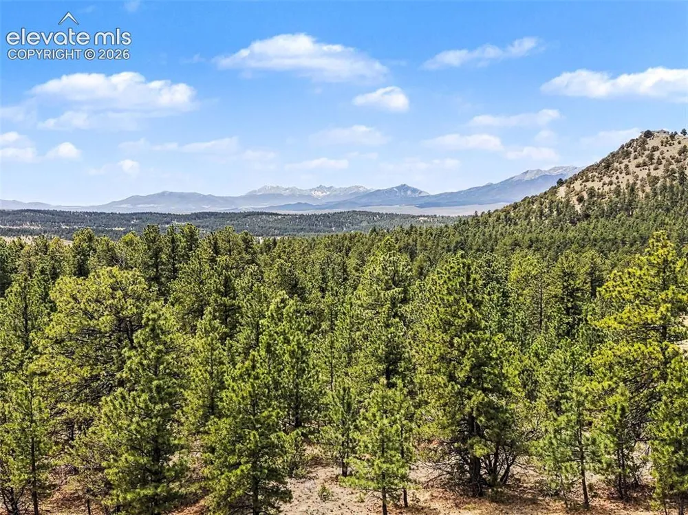 610 Matterhorn Circle Westcliffe, CO 81252