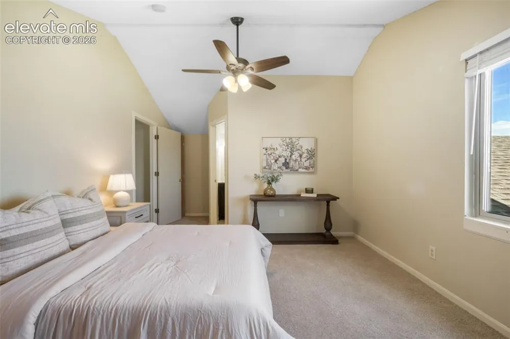 1010 Magic Lamp Way #C Monument, CO 80132