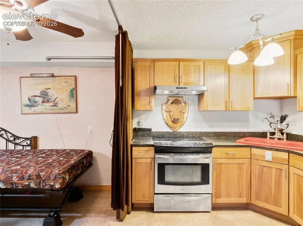 380 Paradise Circle #C1 Woodland Park, CO 80863
