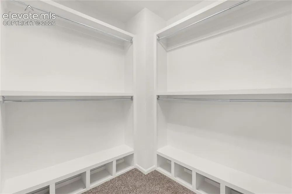 8276 Birch Tree Loop Colorado Springs, CO 80927