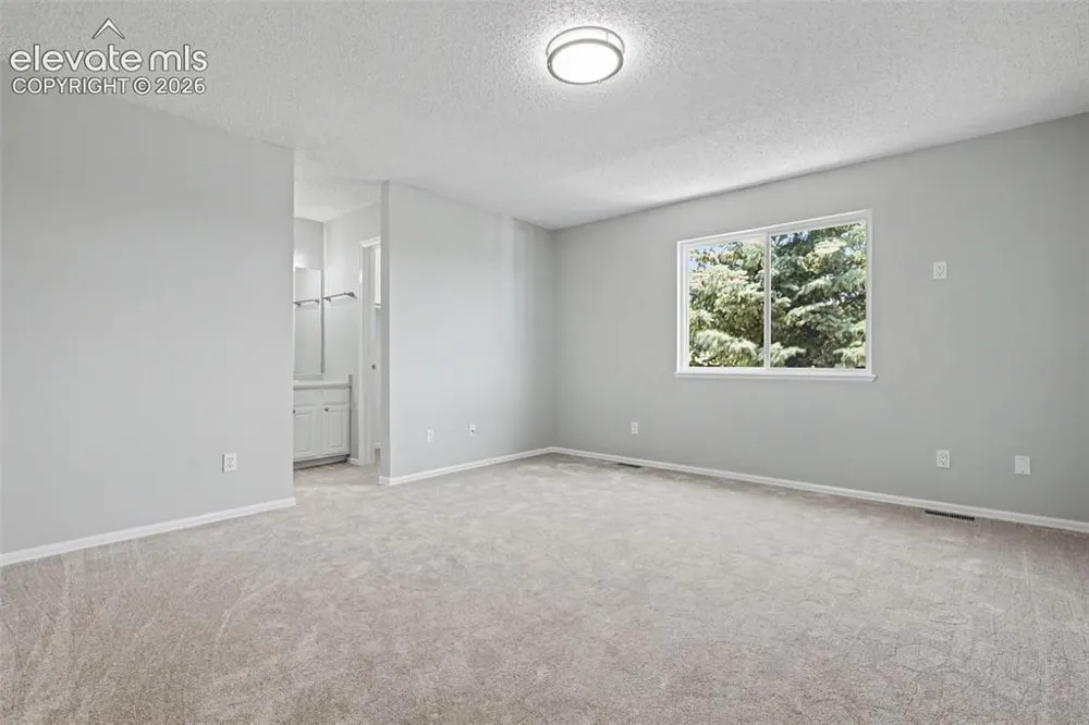 1010 Magic Lamp Way #A Monument, CO 80132
