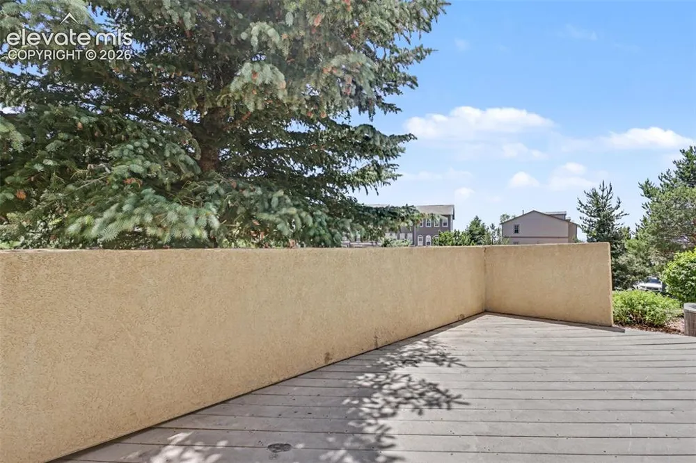 1010 Magic Lamp Way #A Monument, CO 80132