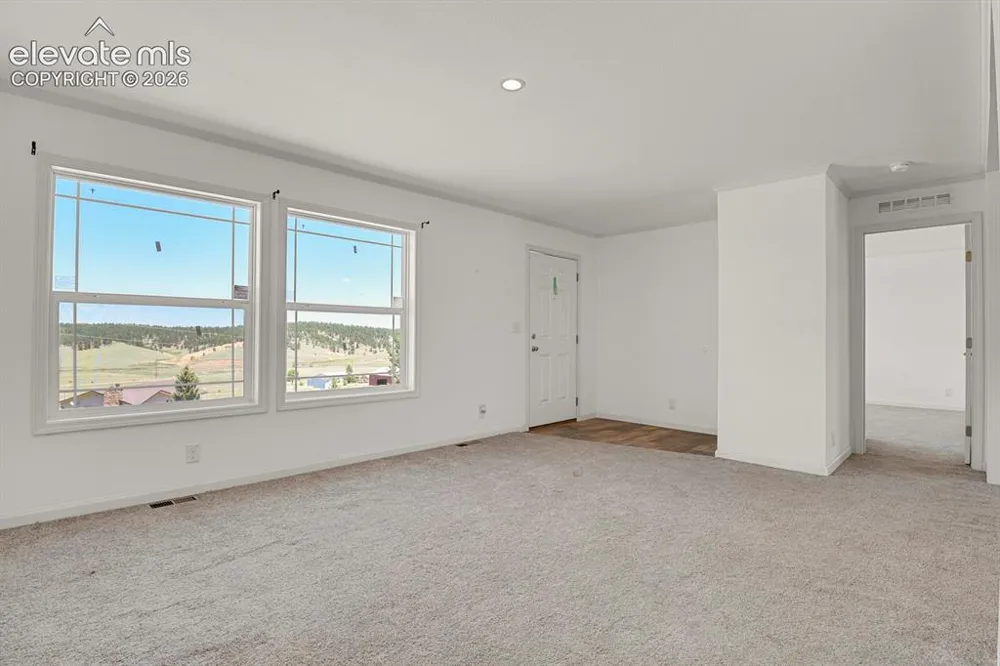 58 Elfin Glen Drive Divide, CO 80814