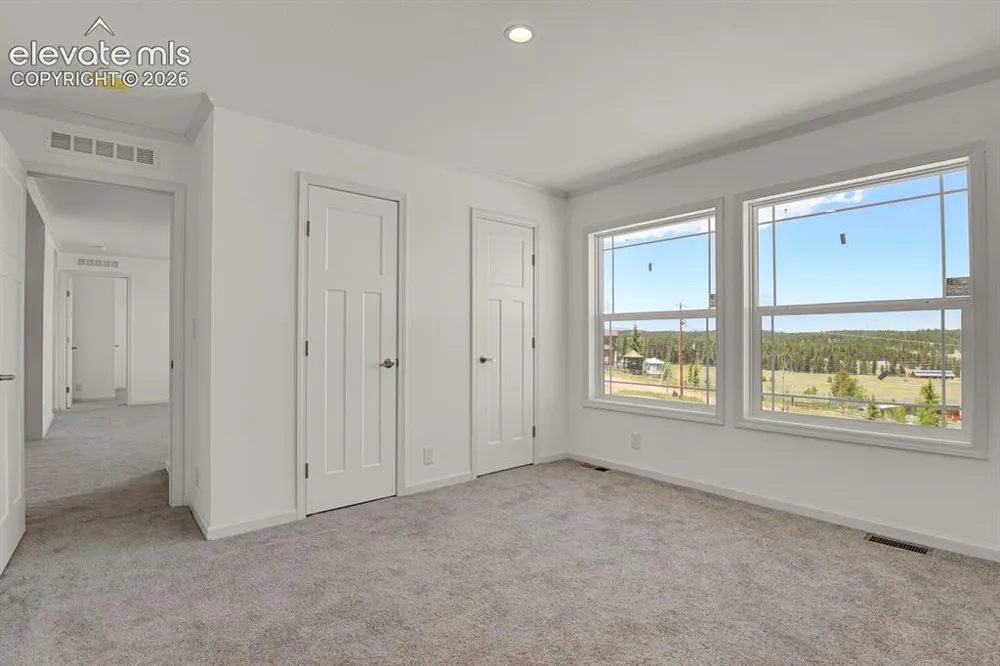 58 Elfin Glen Drive Divide, CO 80814