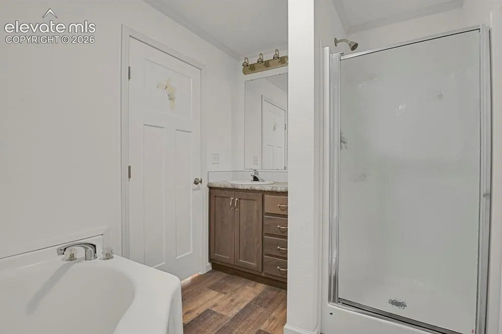 58 Elfin Glen Drive Divide, CO 80814