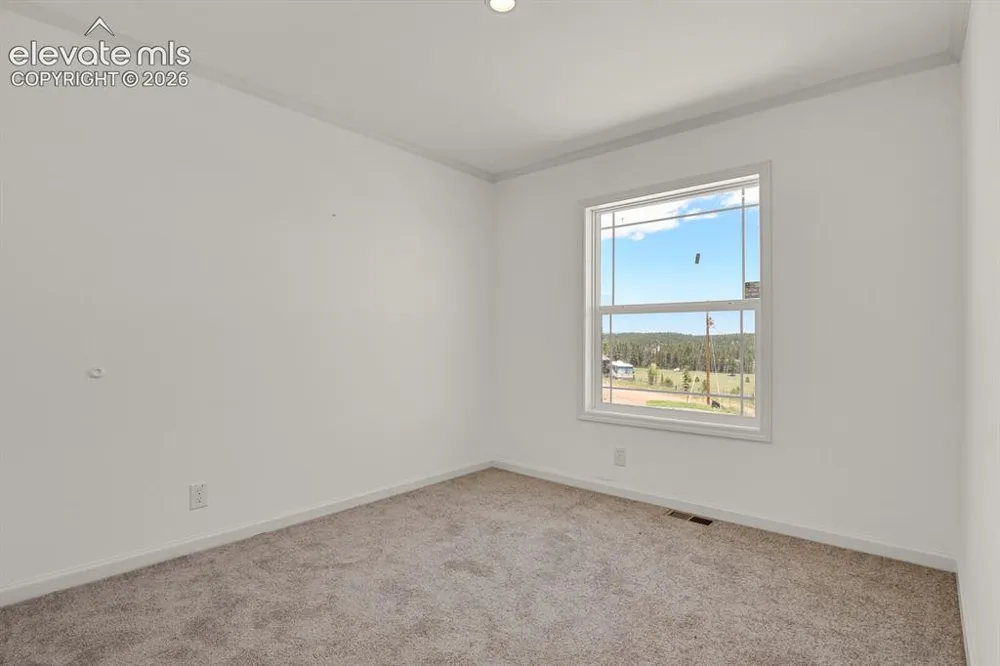 58 Elfin Glen Drive Divide, CO 80814