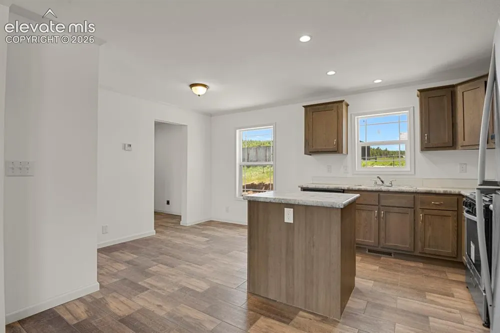 58 Elfin Glen Drive Divide, CO 80814