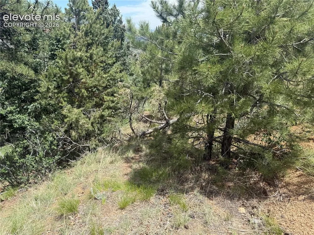 358 Sugarloaf Road Manitou Springs, CO 80829