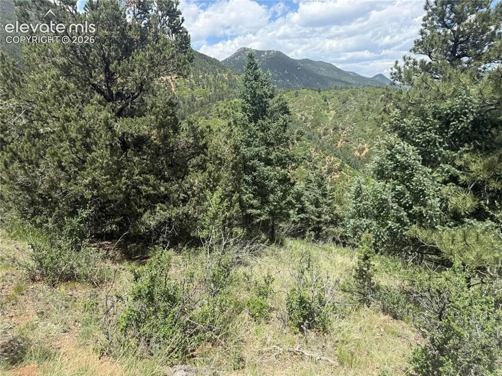 358 Sugarloaf Road Manitou Springs, CO 80829
