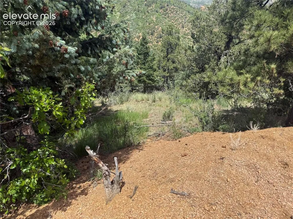 358 Sugarloaf Road Manitou Springs, CO 80829