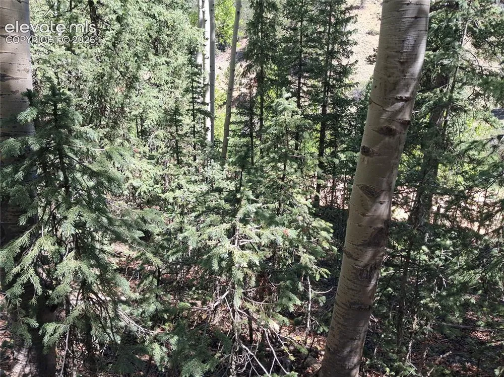 2462 Anges Drive Cripple Creek, CO 80813