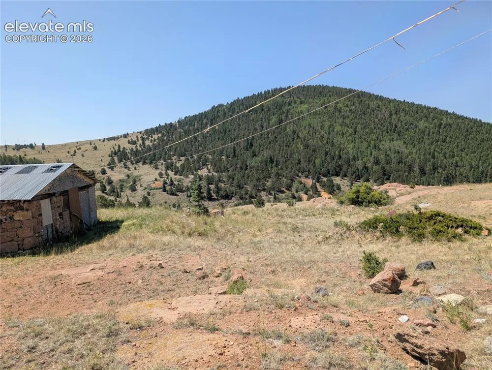 613 S 3rd Street Victor, CO 80860