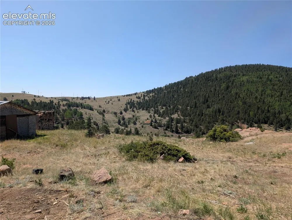 613 S 3rd Street Victor, CO 80860