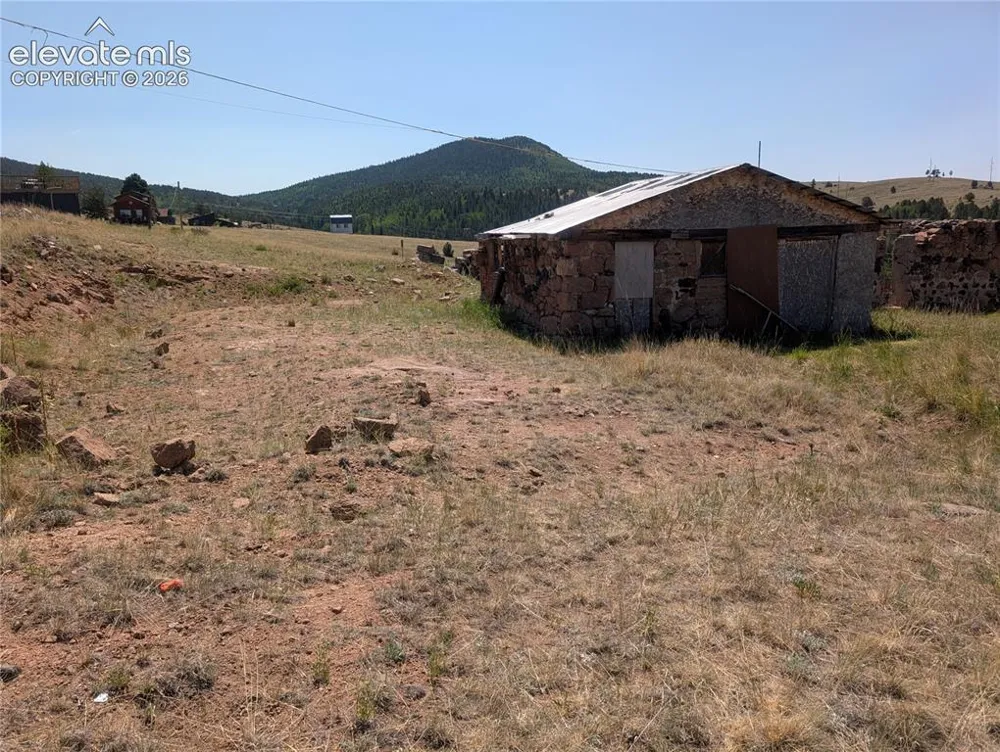 613 S 3rd Street Victor, CO 80860