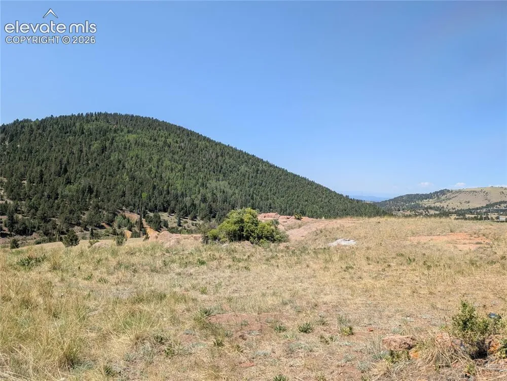 613 S 3rd Street Victor, CO 80860