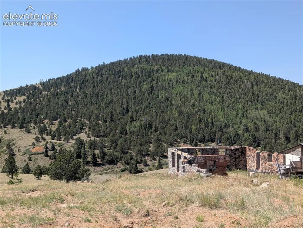 613 S 3rd Street Victor, CO 80860