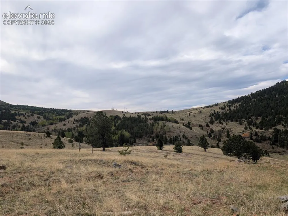 613 S 3rd Street Victor, CO 80860