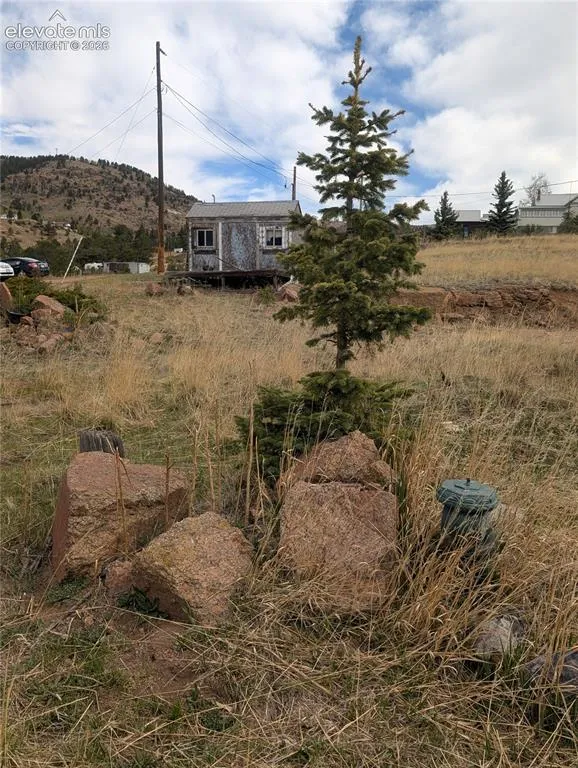 613 S 3rd Street Victor, CO 80860