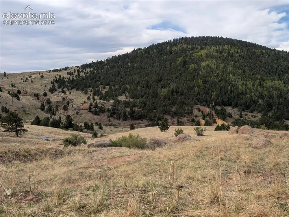 613 S 3rd Street Victor, CO 80860