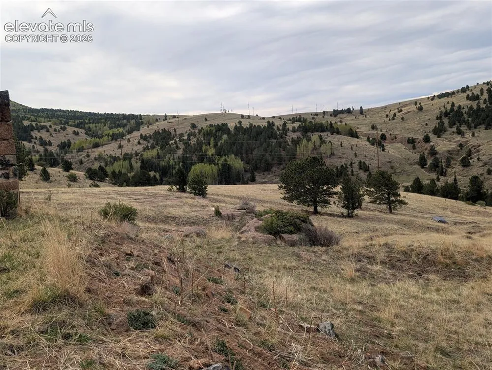 613 S 3rd Street Victor, CO 80860