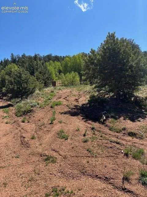 124 Yorktown Road Cripple Creek, CO 80813