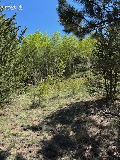 124 Yorktown Road Cripple Creek, CO 80813