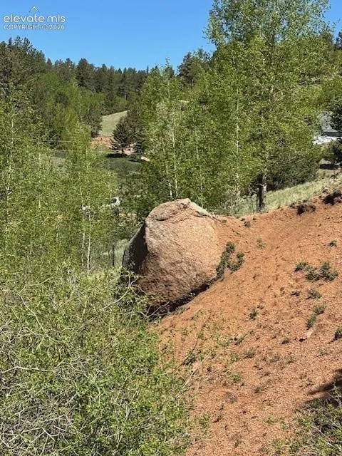 124 Yorktown Road Cripple Creek, CO 80813