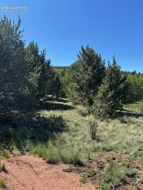 124 Yorktown Road Cripple Creek, CO 80813