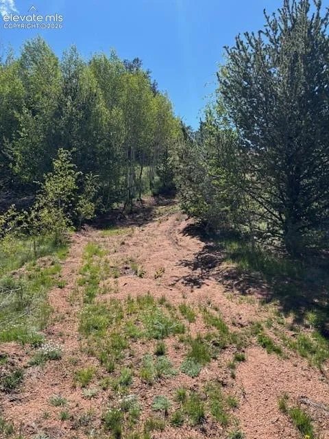 124 Yorktown Road Cripple Creek, CO 80813