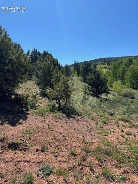 124 Yorktown Road Cripple Creek, CO 80813
