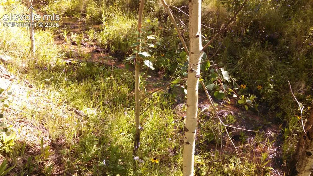 0 unknown Cripple Creek, CO 80813