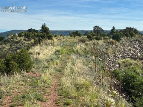 Chris Crossover Drive