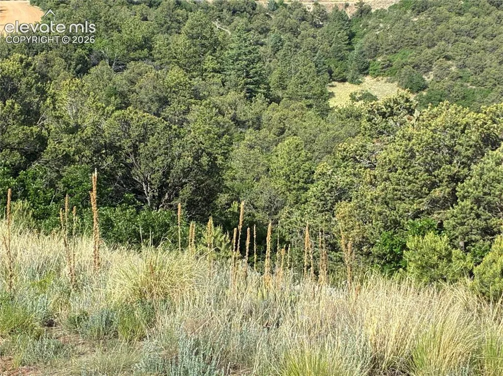 Chris Crossover Drive Canon City, CO 81212