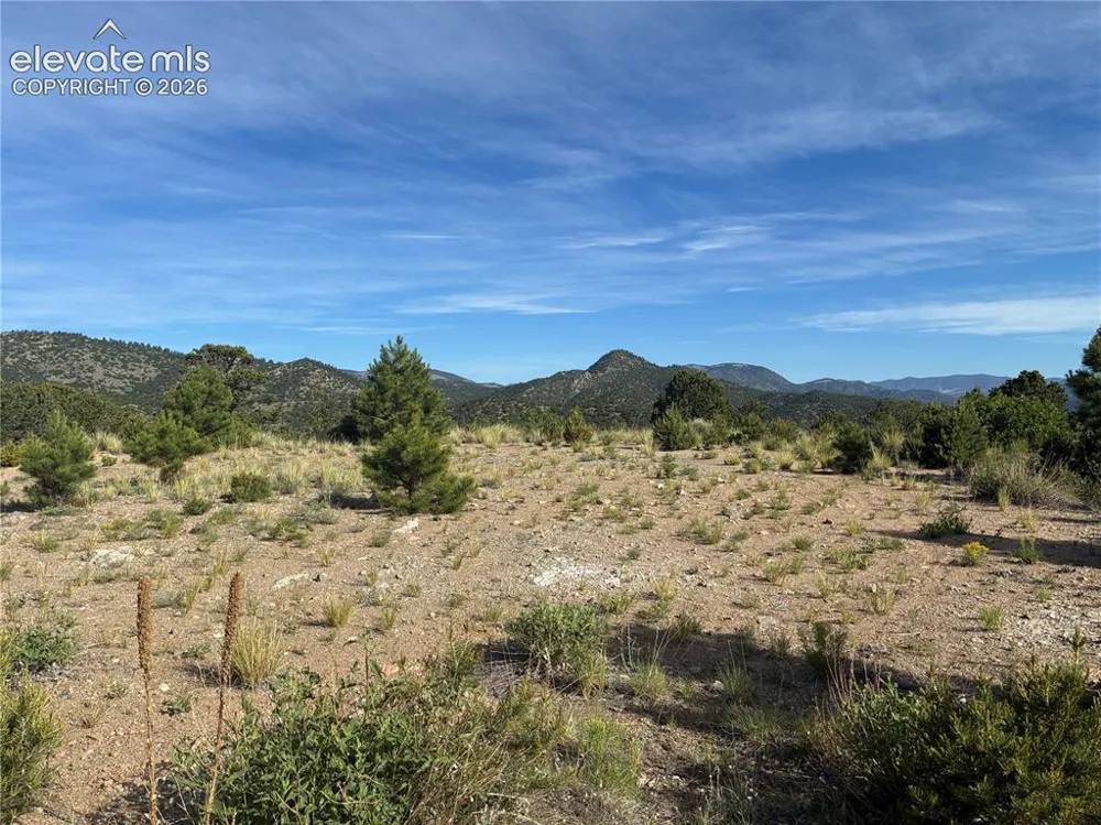 Chris Crossover Drive Canon City, CO 81212