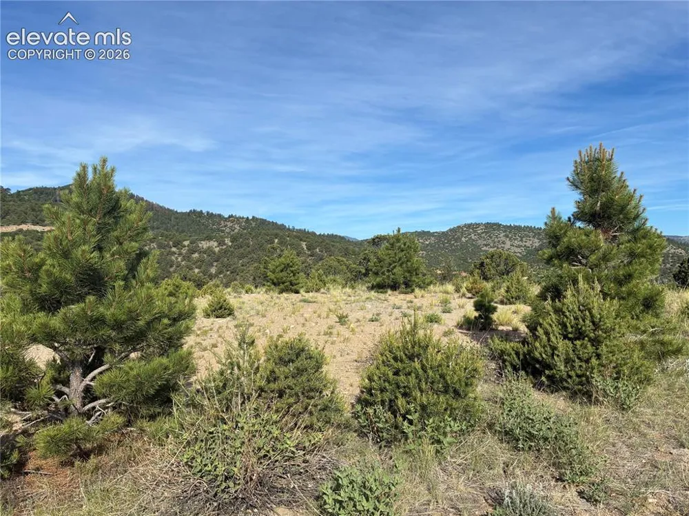 Chris Crossover Drive Canon City, CO 81212