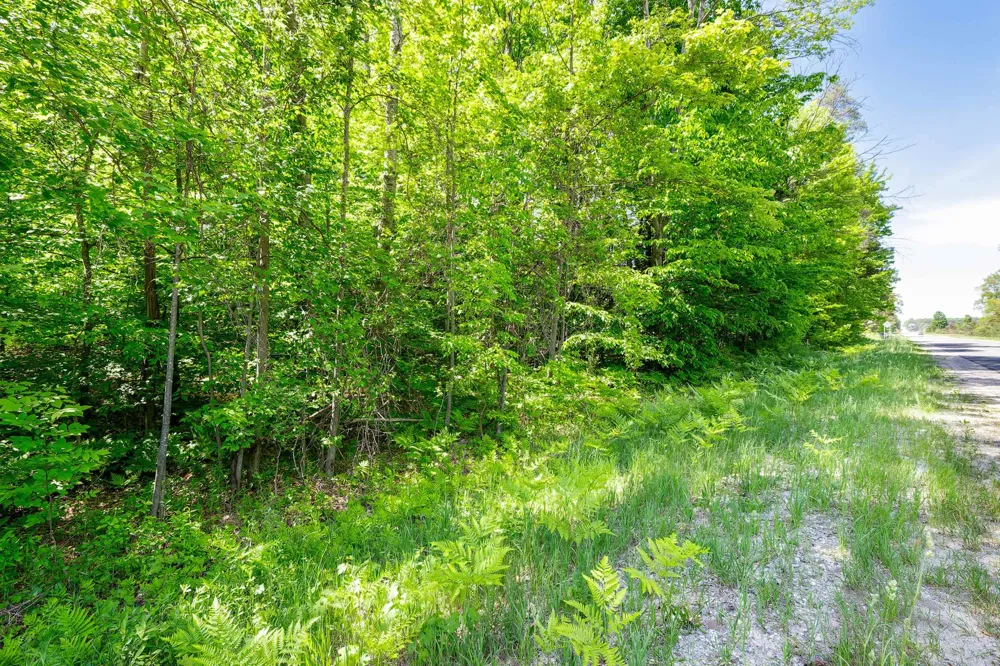 7764 S Weldon Road Weldon Township, MI 49683