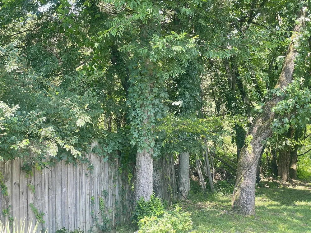 0 Stark Knob Rd Hendersonville, TN 37075