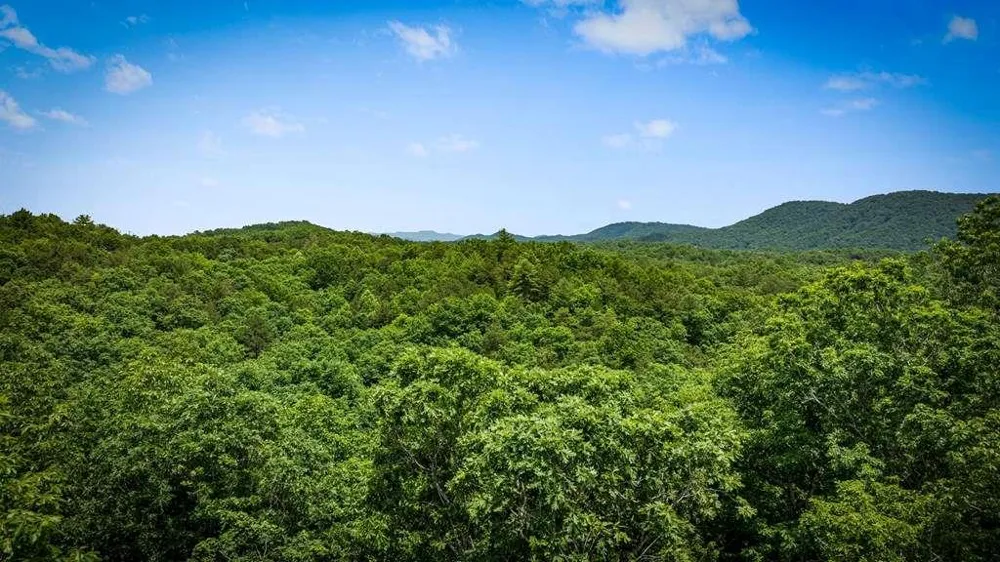 62 Tiffany Lane Mineral Bluff, GA 30559
