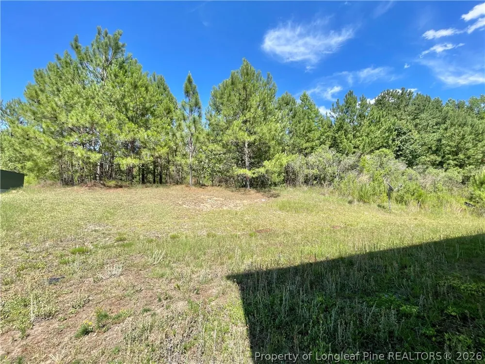 92 Hallow Oak Street Spring Lake, NC 28390