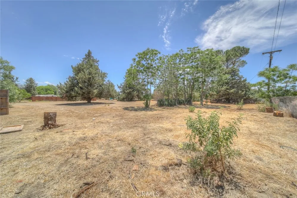 38071 Whitmore Anza, CA 92539