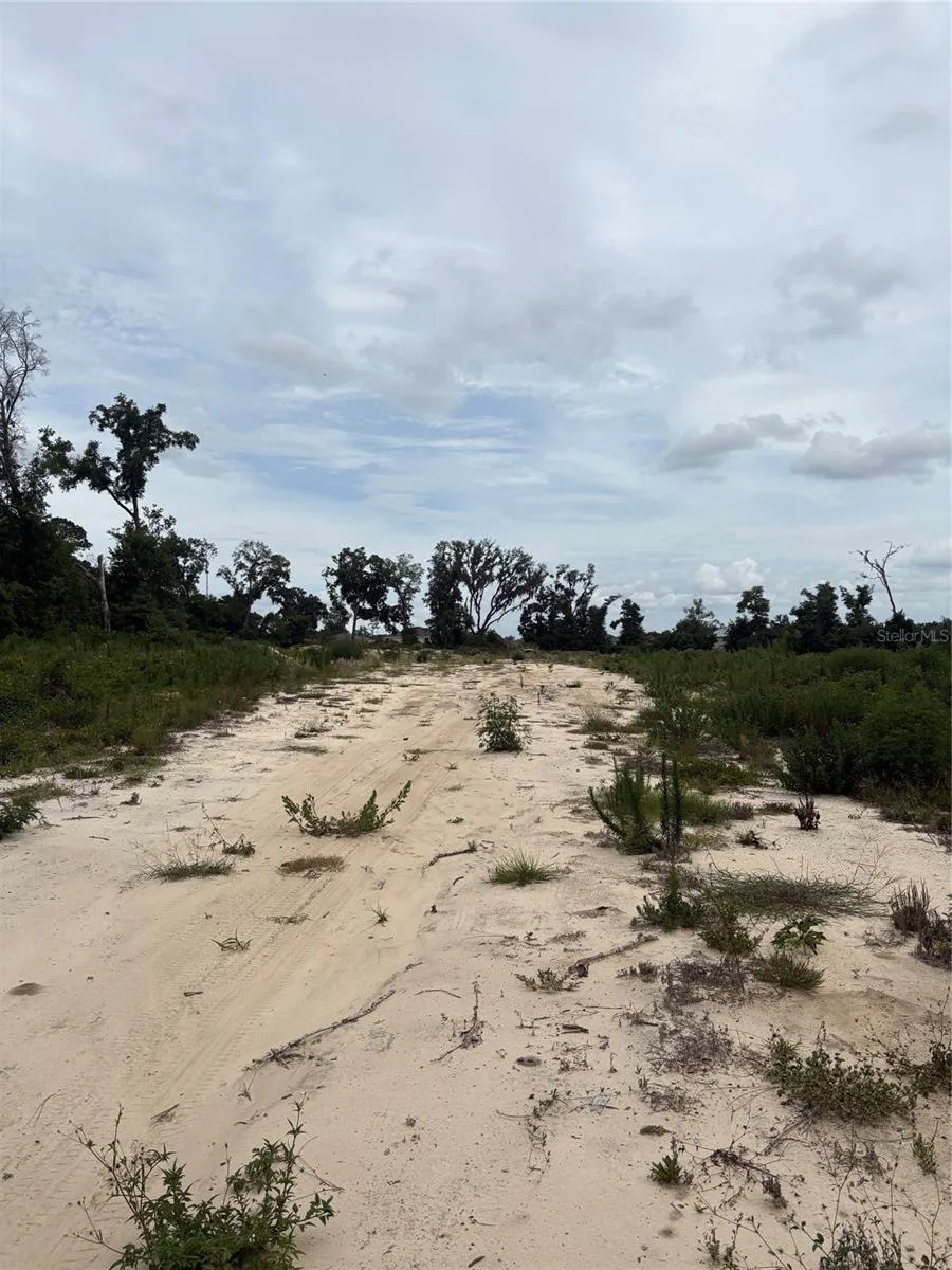 7200 E HIGHWAY 25 Belleview, FL 34420