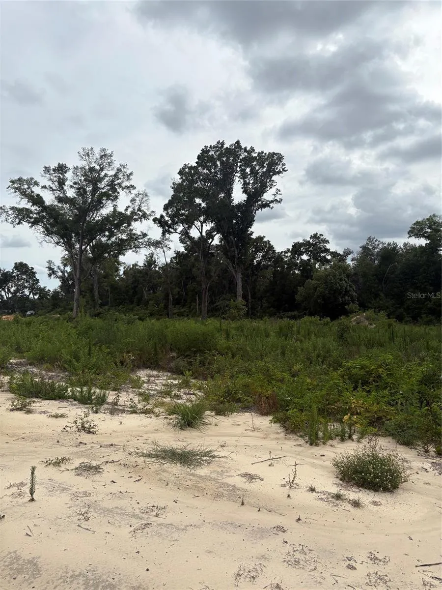 7200 E HIGHWAY 25 Belleview, FL 34420