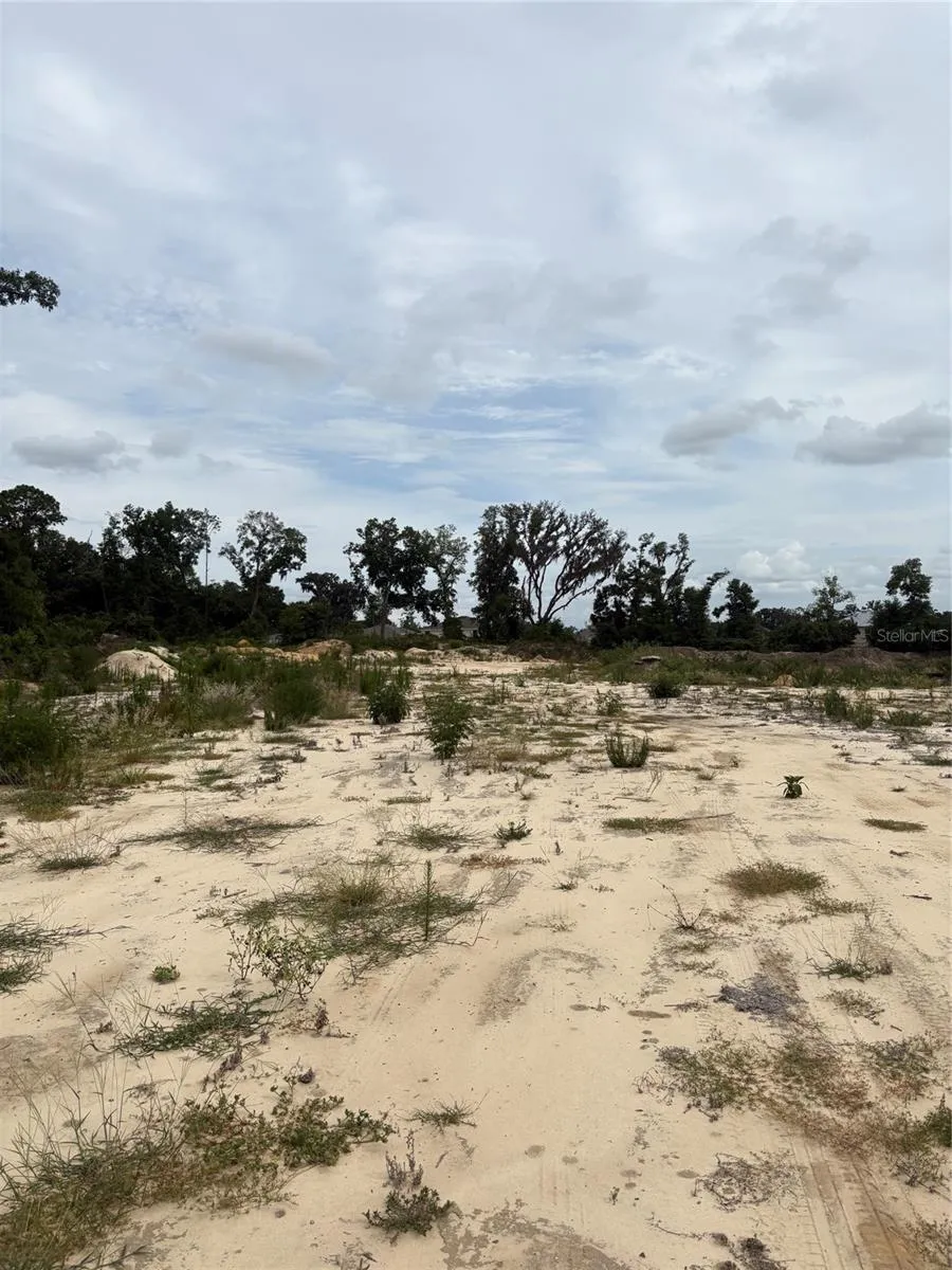 7200 E HIGHWAY 25 Belleview, FL 34420