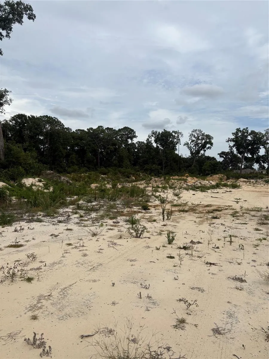 7200 E HIGHWAY 25 Belleview, FL 34420