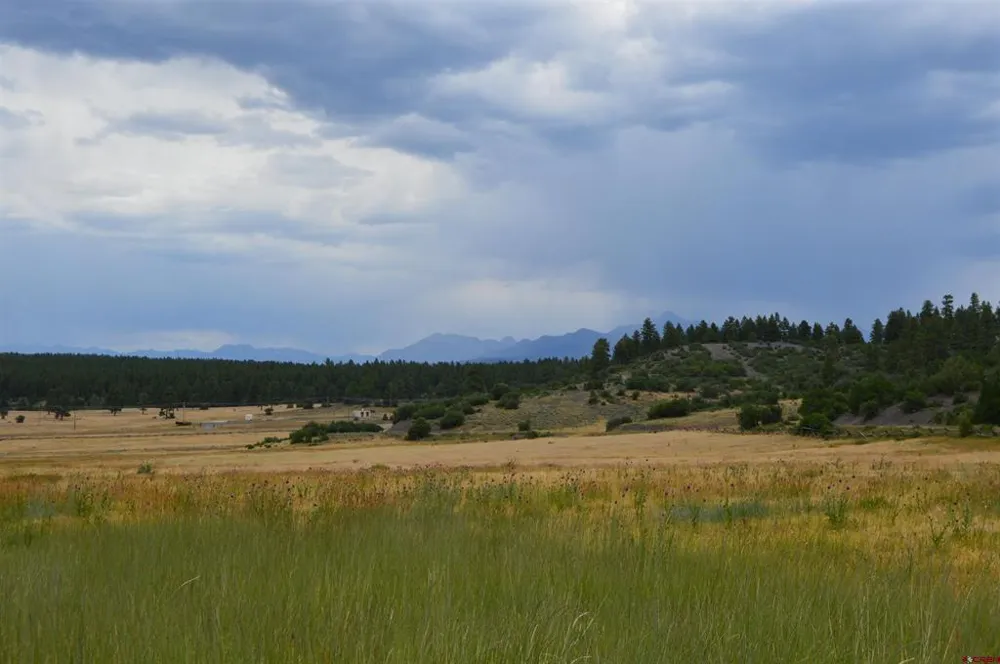 73 Parelli Institute Drive Pagosa Springs, CO 81147