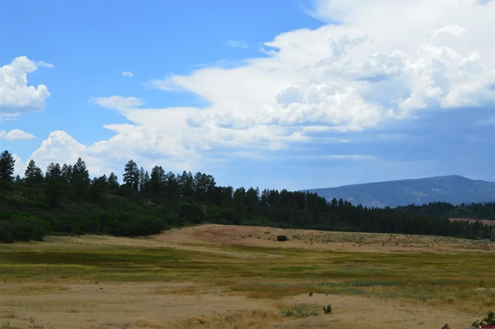 73 Parelli Institute Drive Pagosa Springs, CO 81147