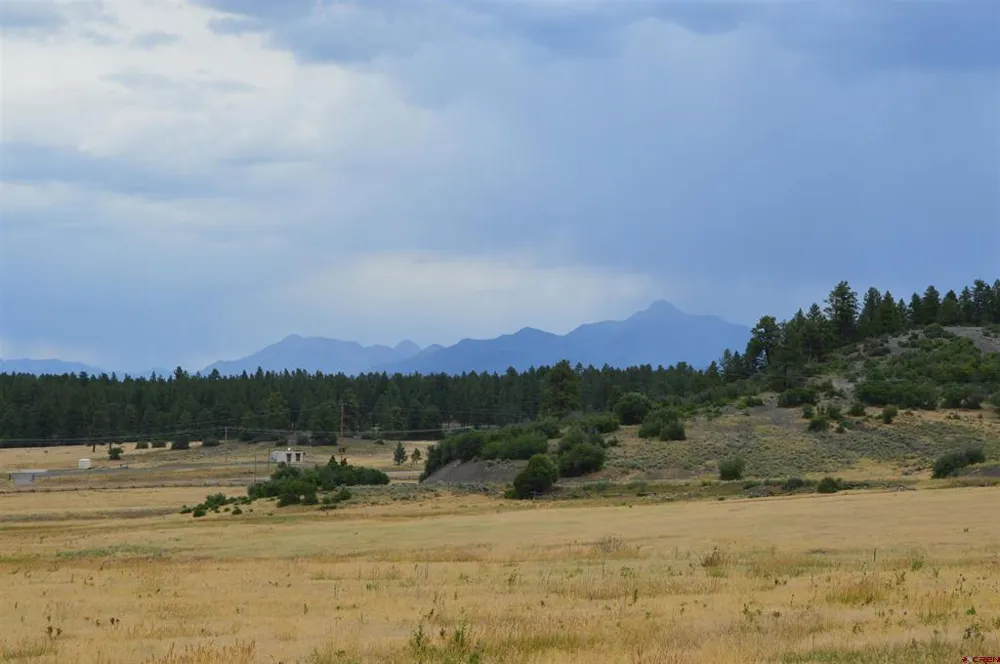73 Parelli Institute Drive Pagosa Springs, CO 81147