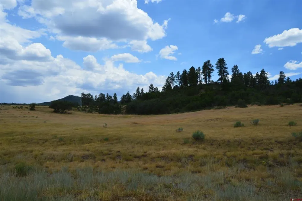 73 Parelli Institute Drive Pagosa Springs, CO 81147
